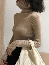 Turtleneck sweaterAzizaK