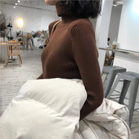 Turtleneck sweaterAzizaK