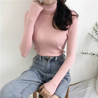 Turtleneck sweaterAzizaK