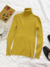 Turtleneck sweaterAzizaK