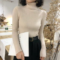 Turtleneck sweaterAzizaK