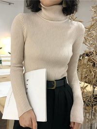 Turtleneck sweaterAzizaK