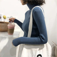 Turtleneck sweaterAzizaK