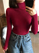 Turtleneck sweaterAzizaK