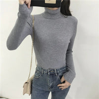 Turtleneck sweaterAzizaK
