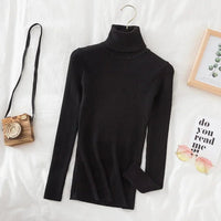 Turtleneck sweaterAzizaK