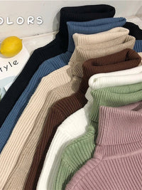 Turtleneck sweaterAzizaK
