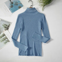 Turtleneck sweaterAzizaK